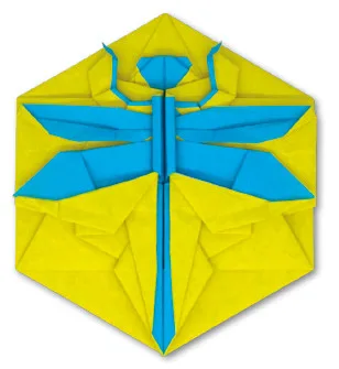 Dragonfly coin