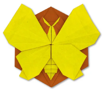 Butterfly coin