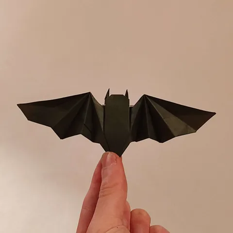 Bat