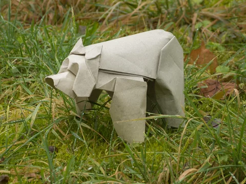 Bear