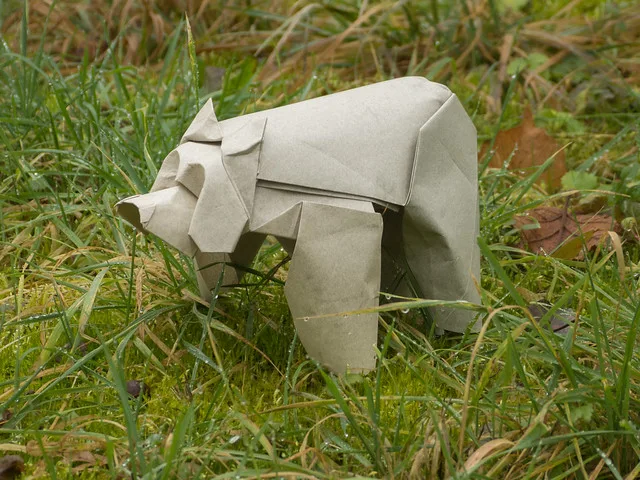 Bear
