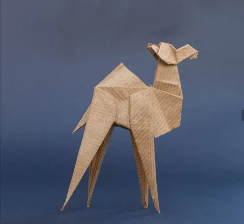 Camel