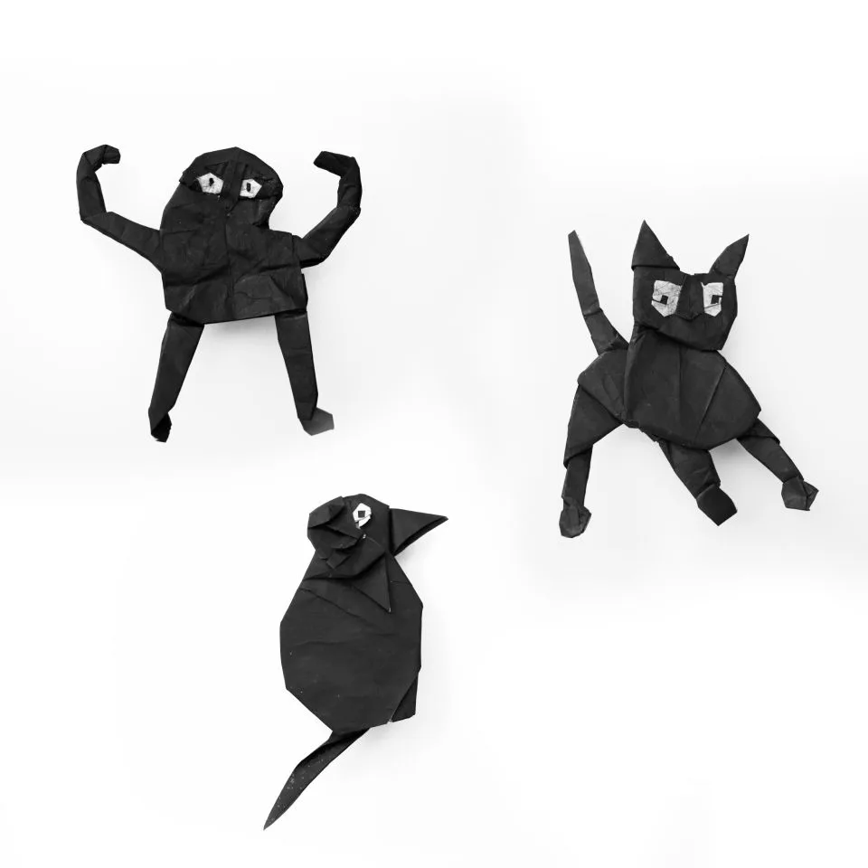 Cursed cats