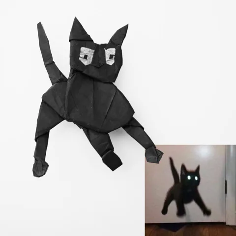 Cursed cats