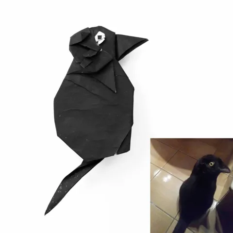 Cursed cats