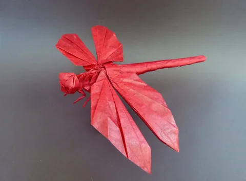 Dragonfly