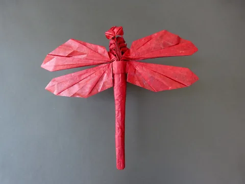Dragonfly