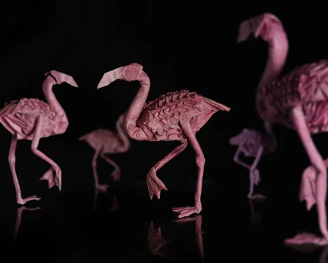 Flamingo