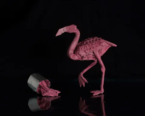 Flamingo