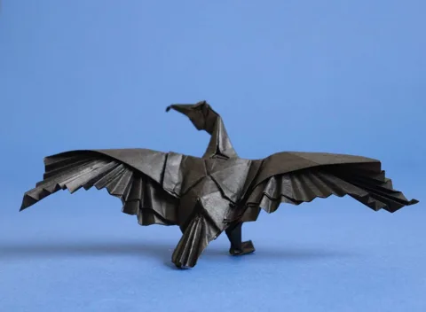 Great Cormorant␠