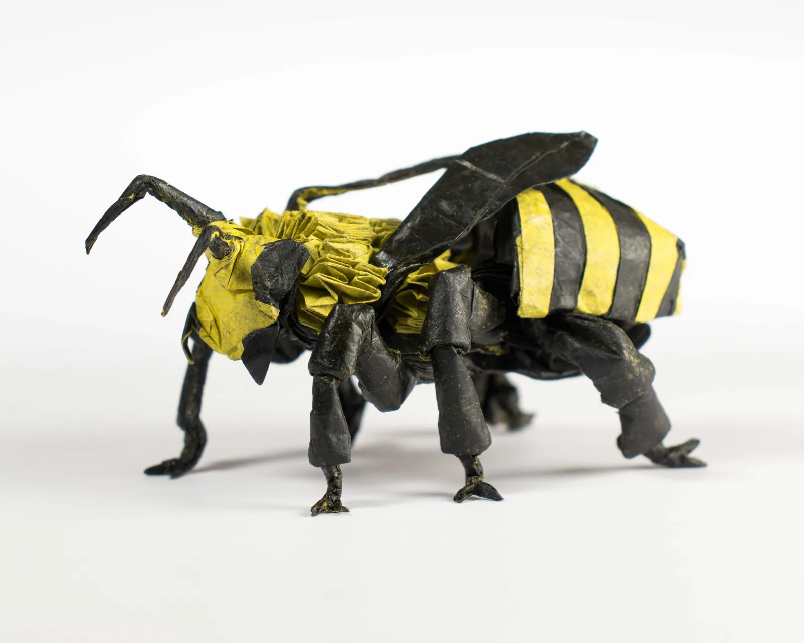 Honeybee
