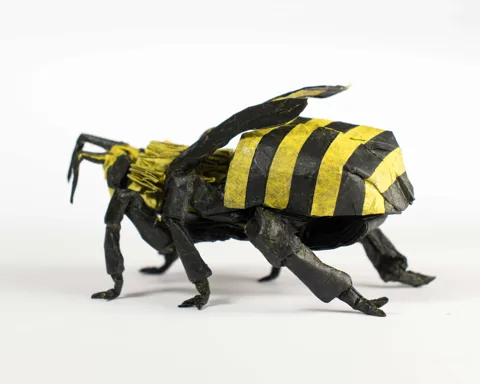 Honeybee