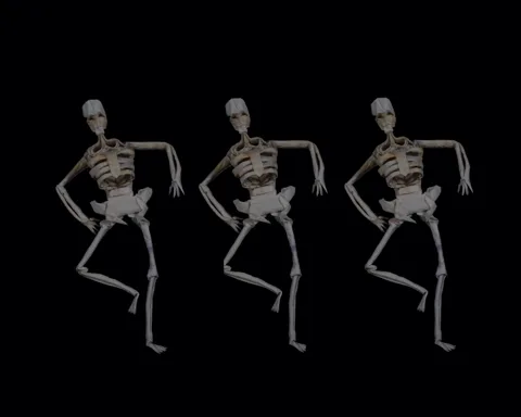 Human Skeleton