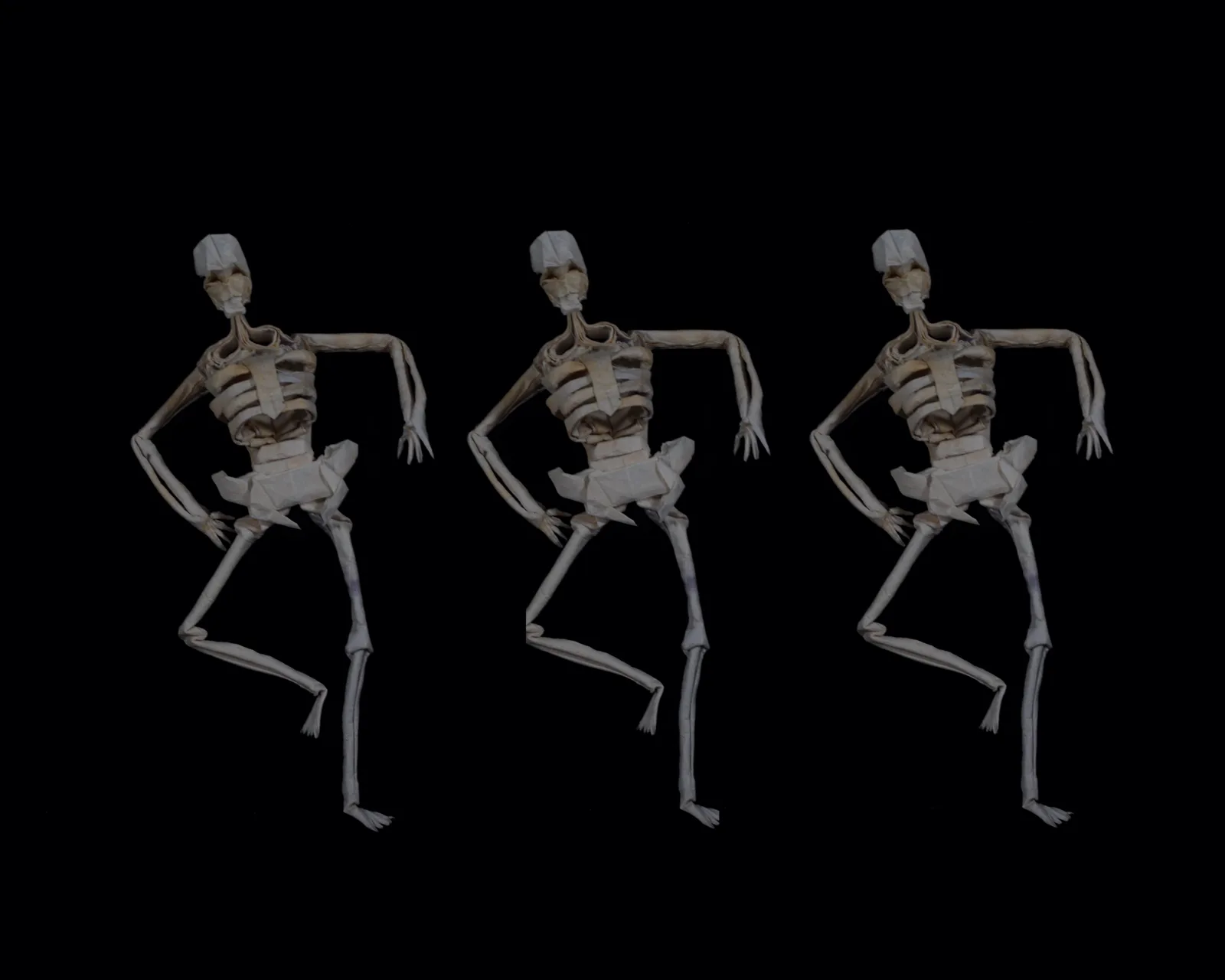 Human Skeleton