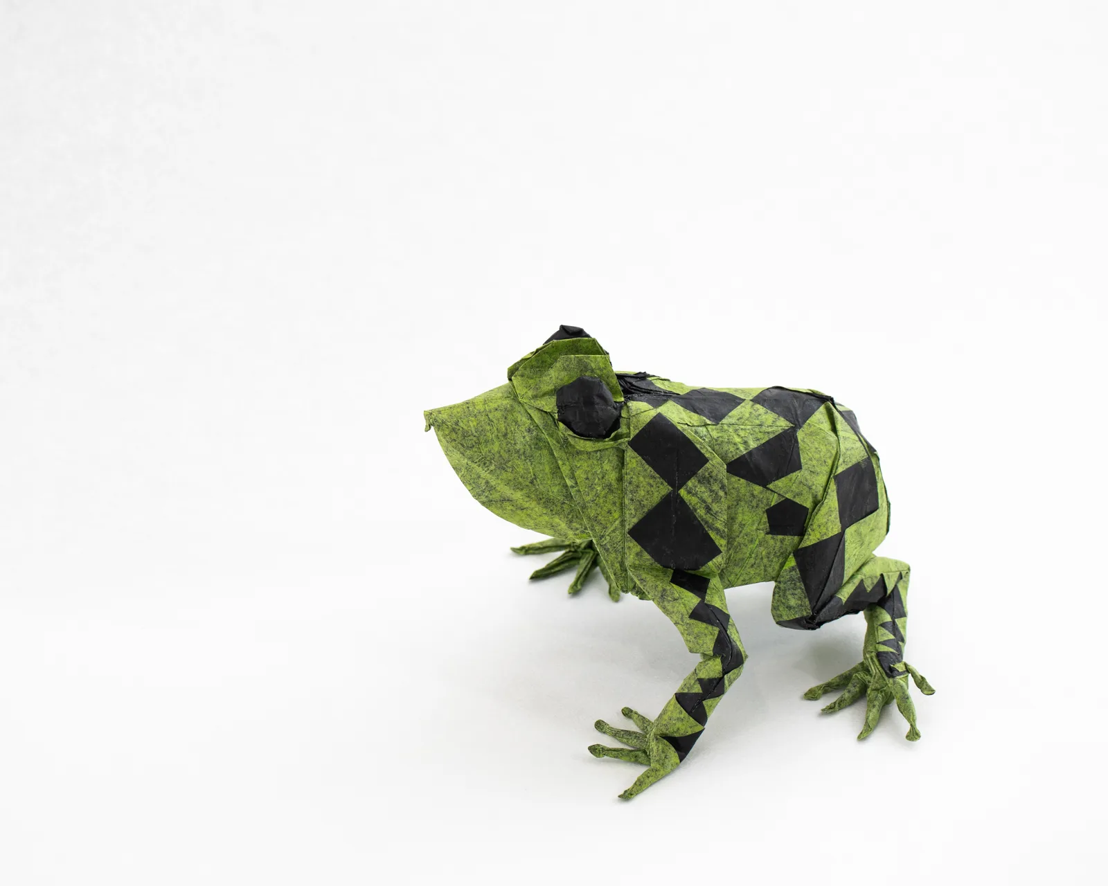 Leopard frog