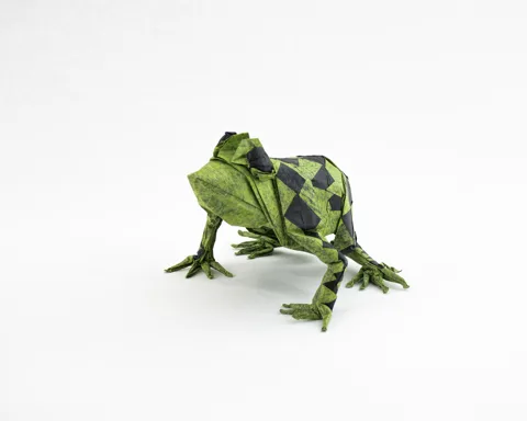 Leopard frog