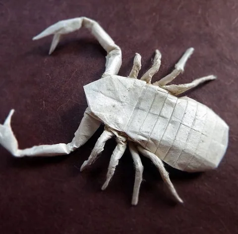 Psuedoscorpion