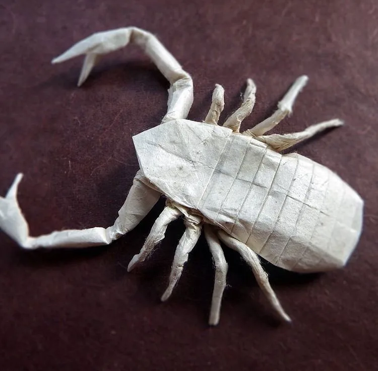 Psuedoscorpion