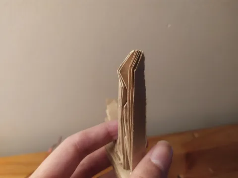 Pteranodon skeleton v1 — паттерн