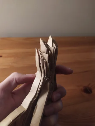 Pteranodon skeleton v1 — паттерн