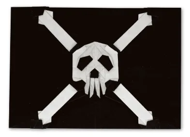 Pirate flag