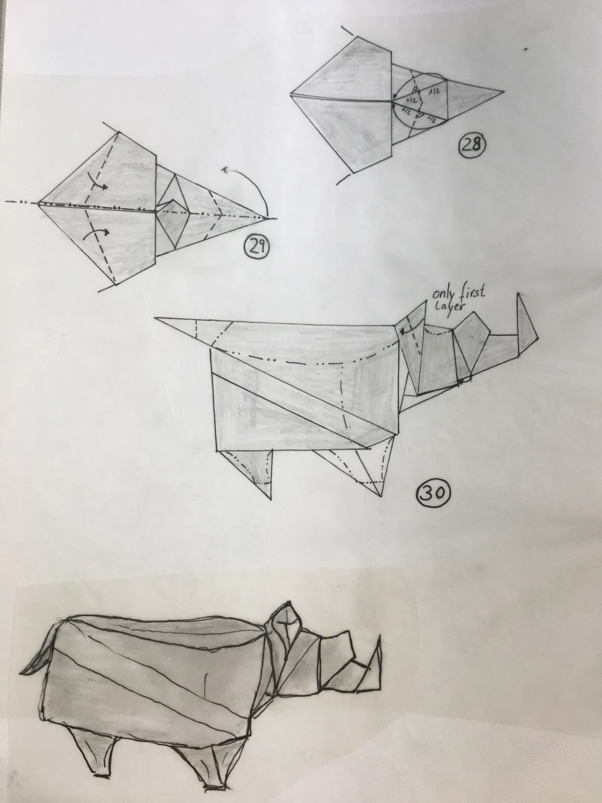 Rhino (Diagram)