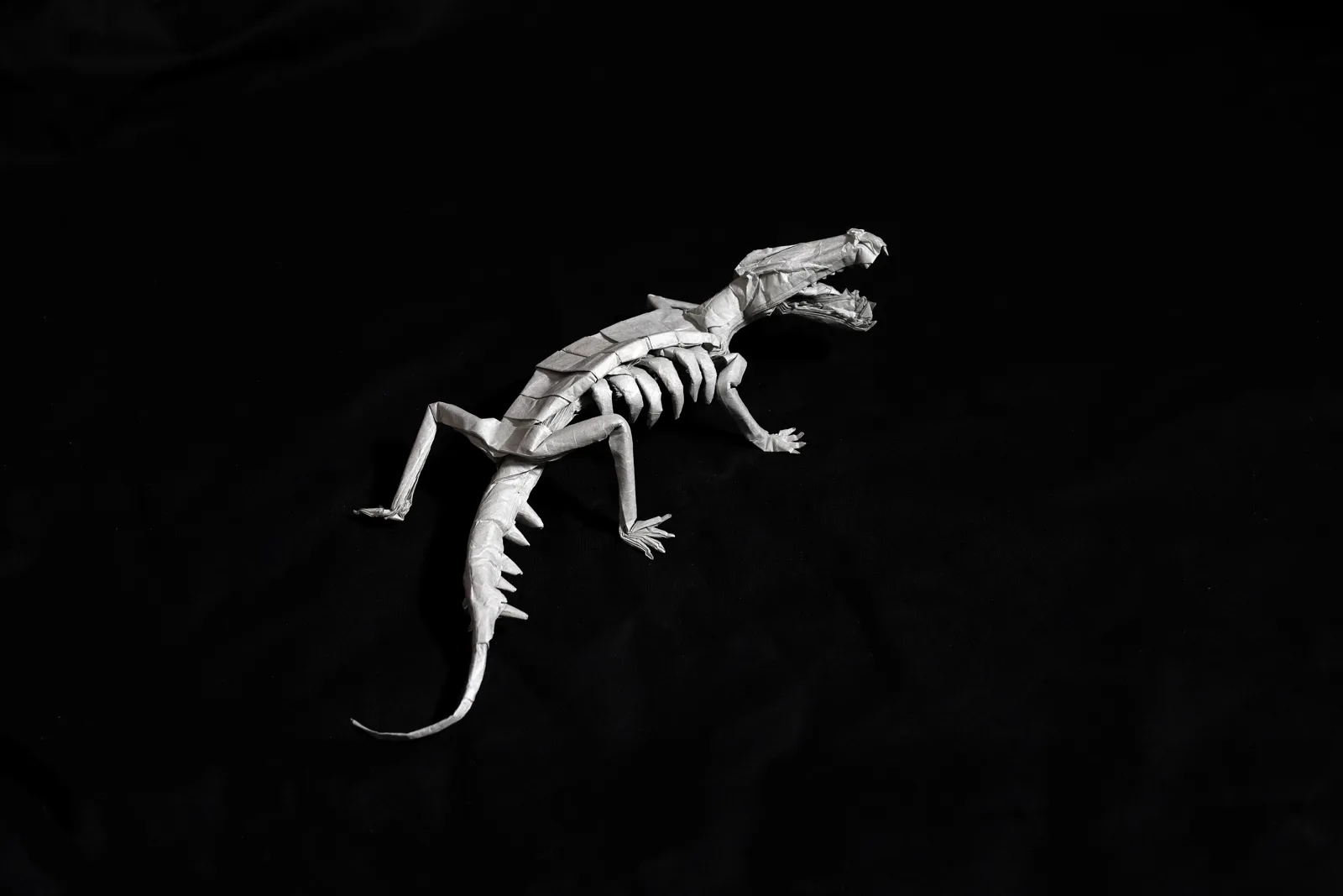 Sarcosuchus skeleton