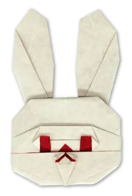 Rabbit face