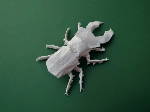 Stag beetle