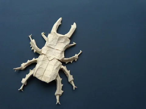 Stag beetle