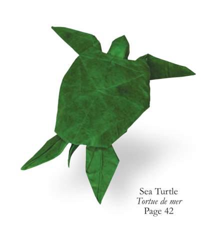 Sea turtle