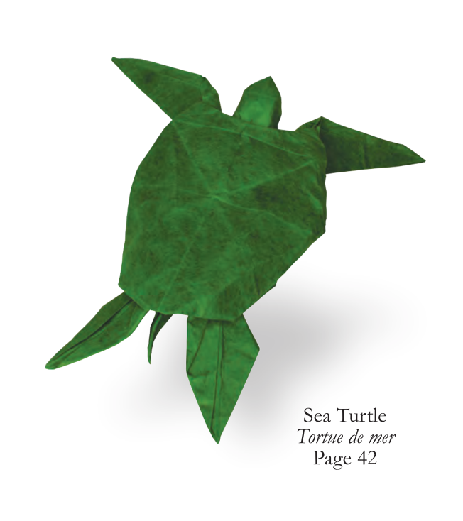 Sea turtle