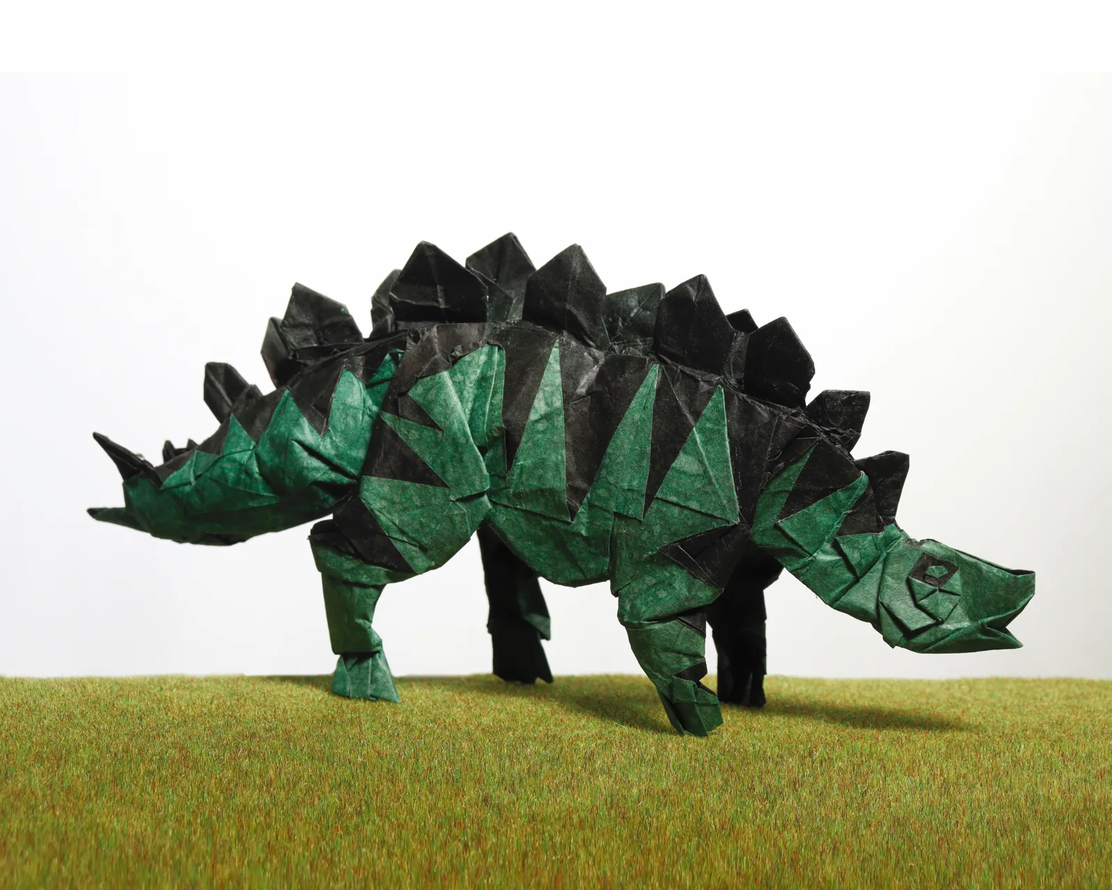 Stegosaurus␠