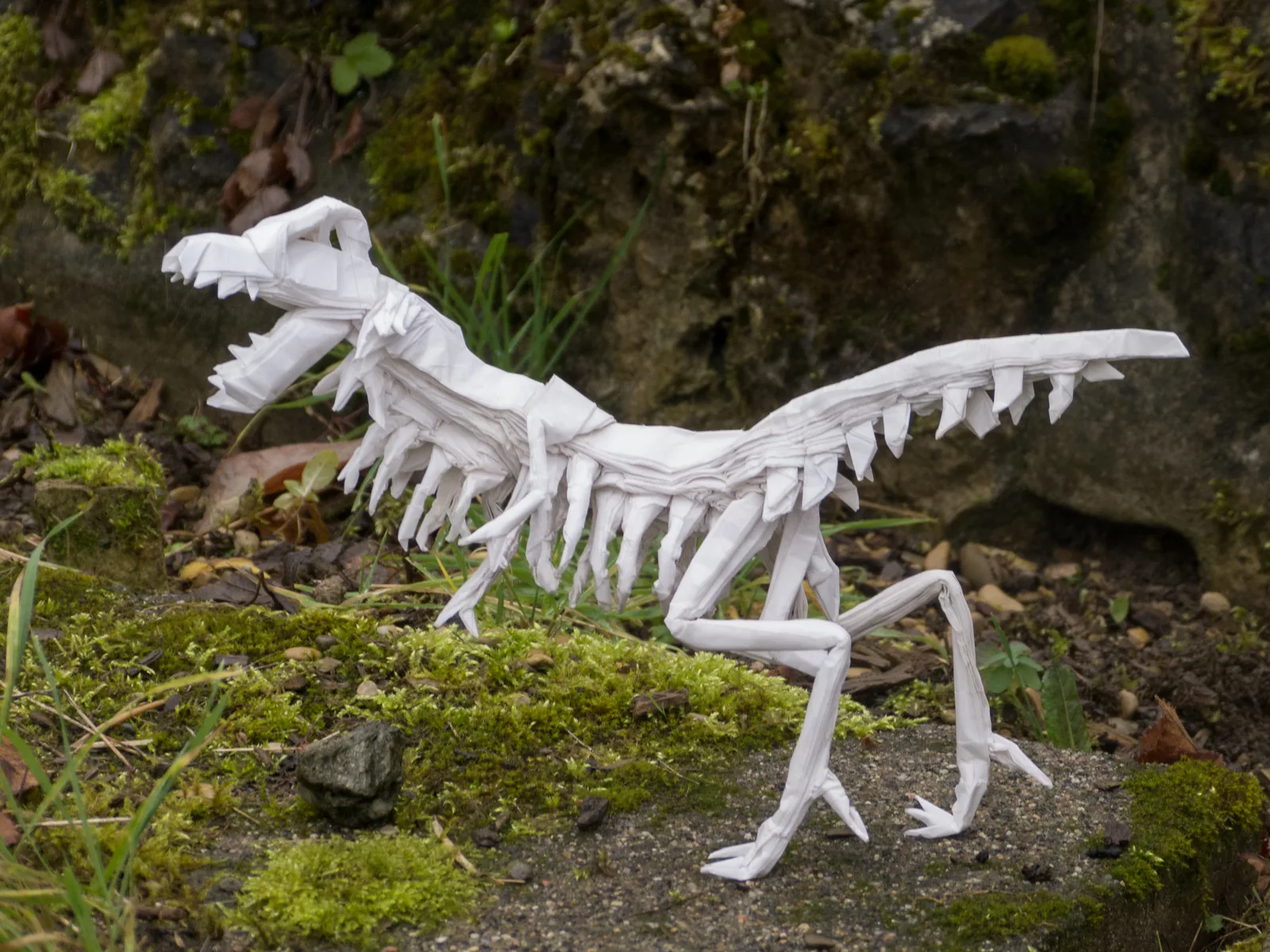 T-rex skeleton