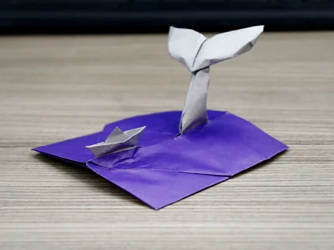 Whale encounter