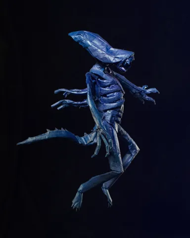 Xenomorph