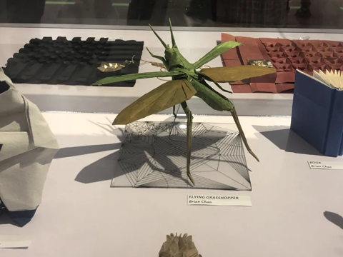 Grasshopper - flying
