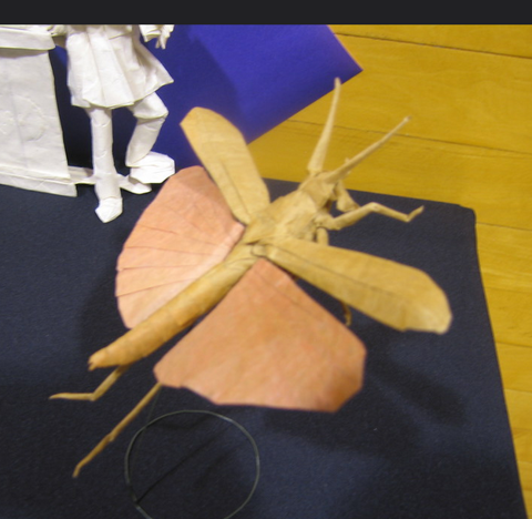 Grasshopper - flying
