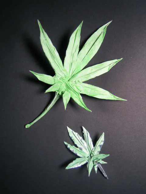 Green leaf (PD) weed 420