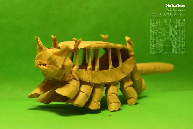 Neko Bus