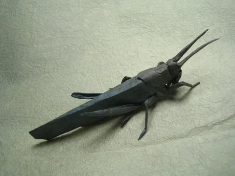 Grasshopper - perched