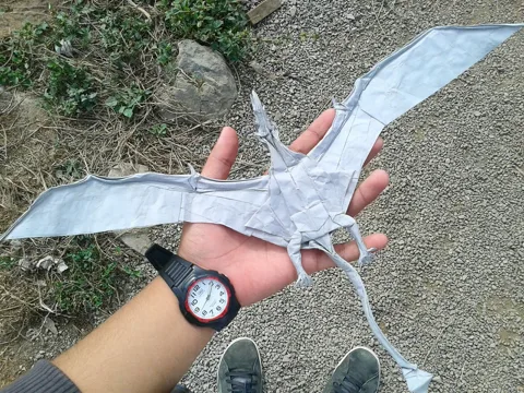 Rhamphorhynchus (PD)