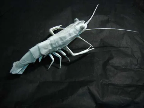Shrimp