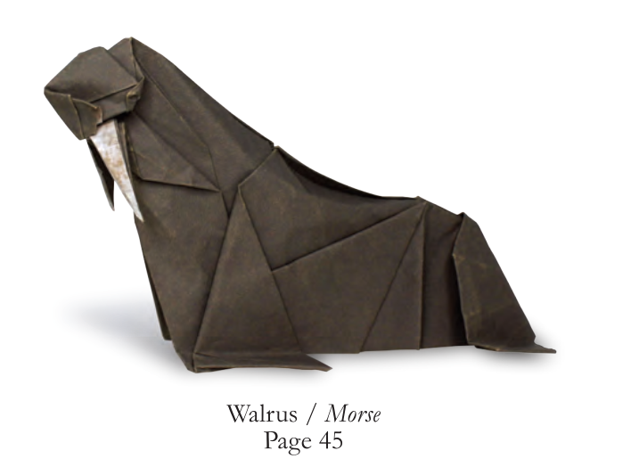 Walrus