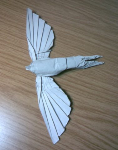 Swallow