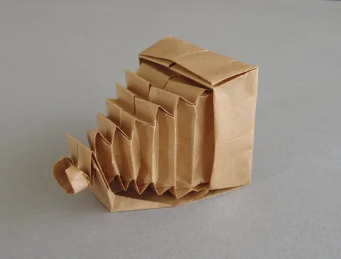 Antique Folding Camera