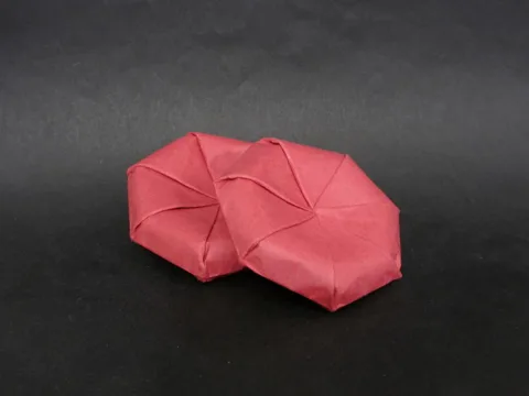 Red blood cells