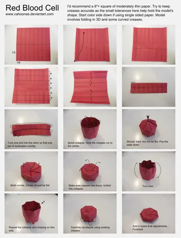 Red blood cells — паттерн