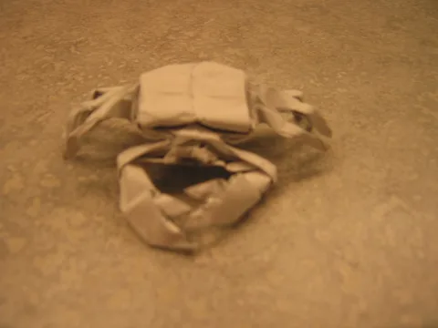 Crab