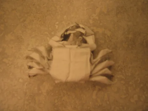Crab